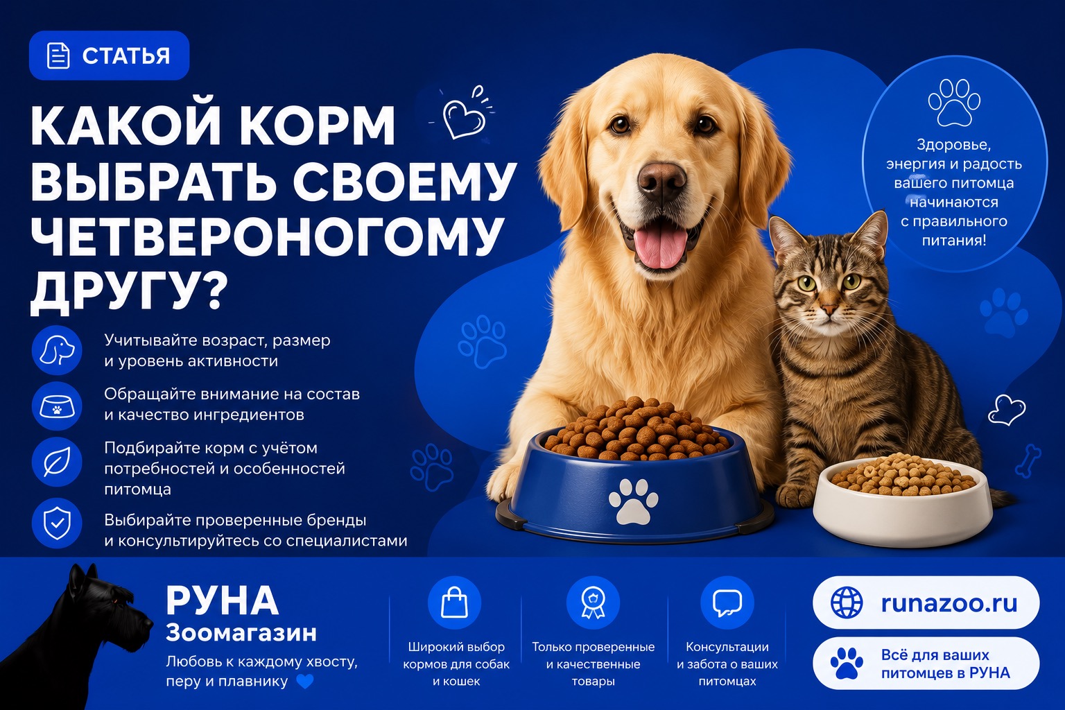 Как выбрать подходящий корм для домашнего питомца: советы от зоомагазина «Руна»